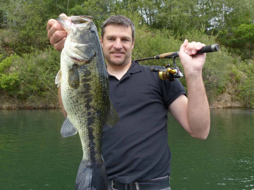 Fisherman holding a largemouth bass by the lip vertically 