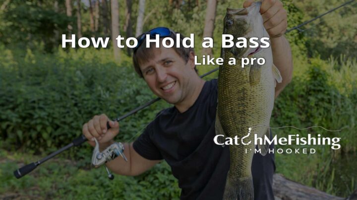 How to hold a bass