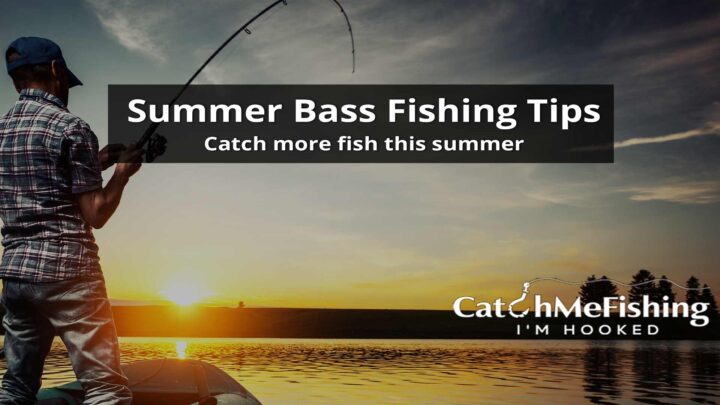 Summer Bass Fishing Tips and Tricks for Success