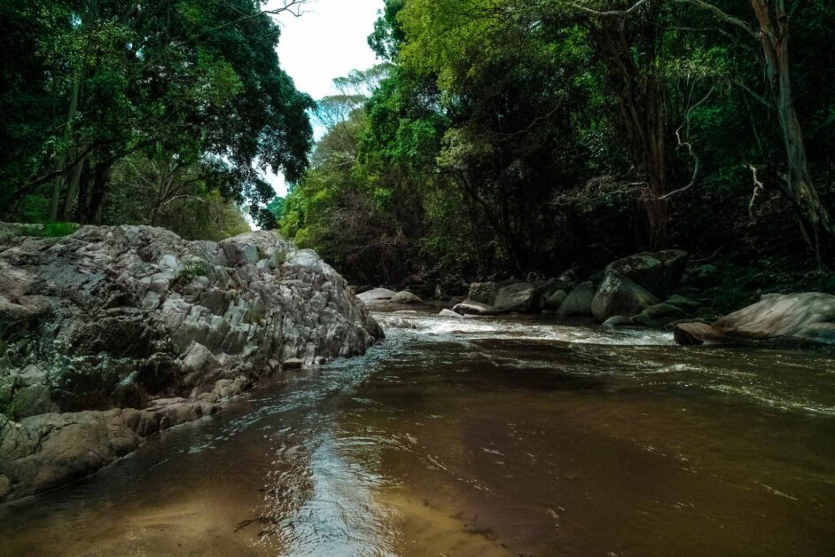 Fishing in small creeks