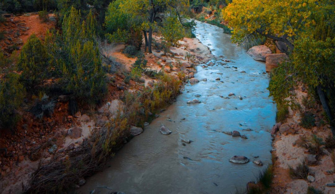 Fishing in a stream during spawning