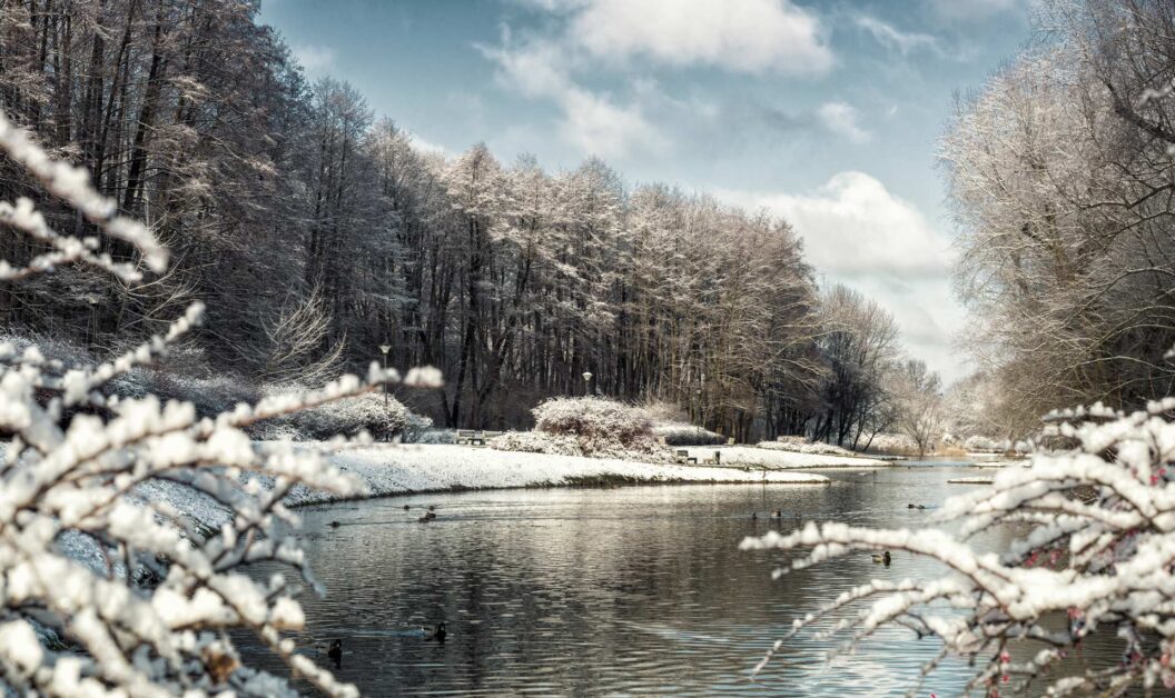 Smallmouth bass river in the winter