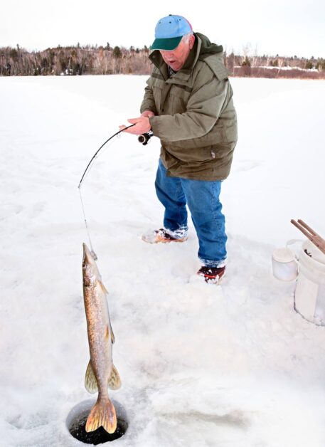 fisherman catching walleye on lake of the woods