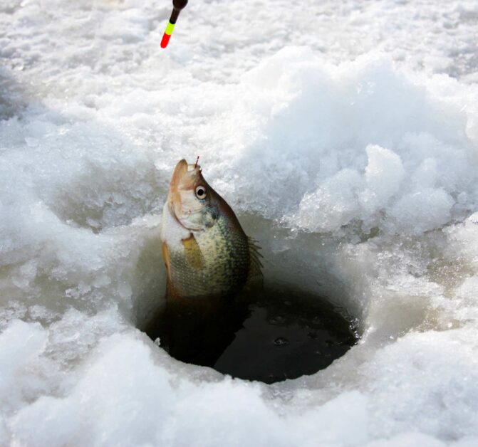 Crappie fishing on ice in the winter
