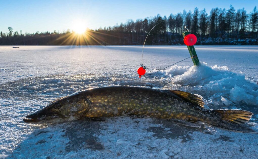 Tip up lake george ice fishing catching fishing