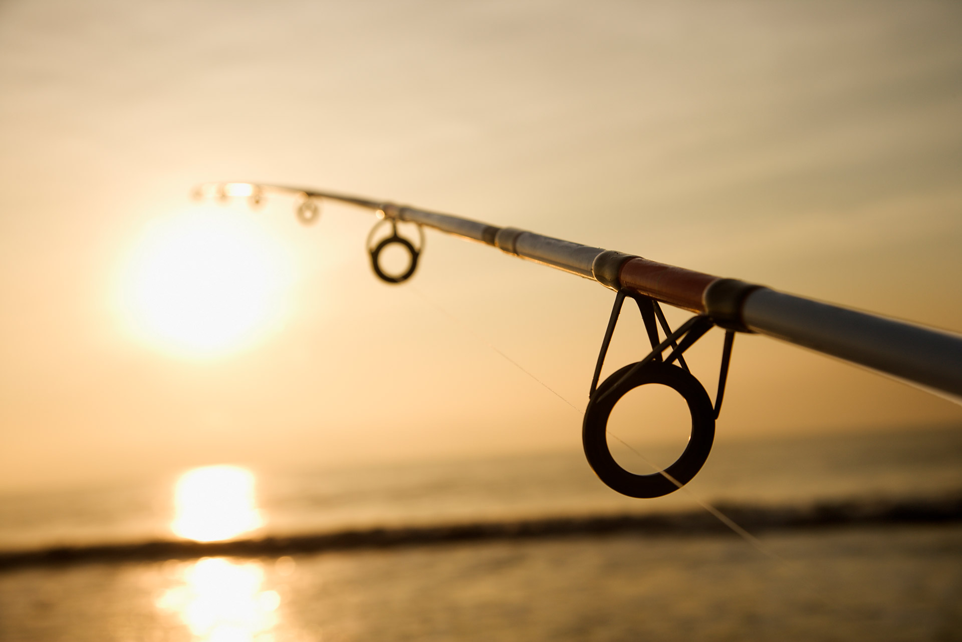 Fishing rod length and action in a sunset