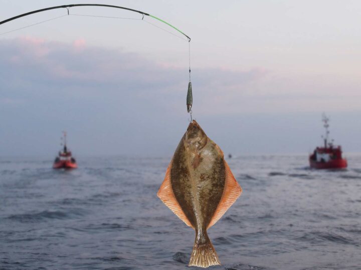 Flounder fishing in nc