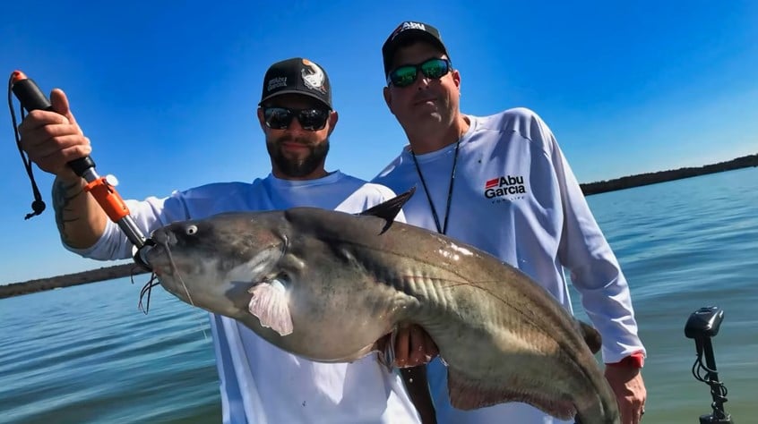 Fall catfish fishing