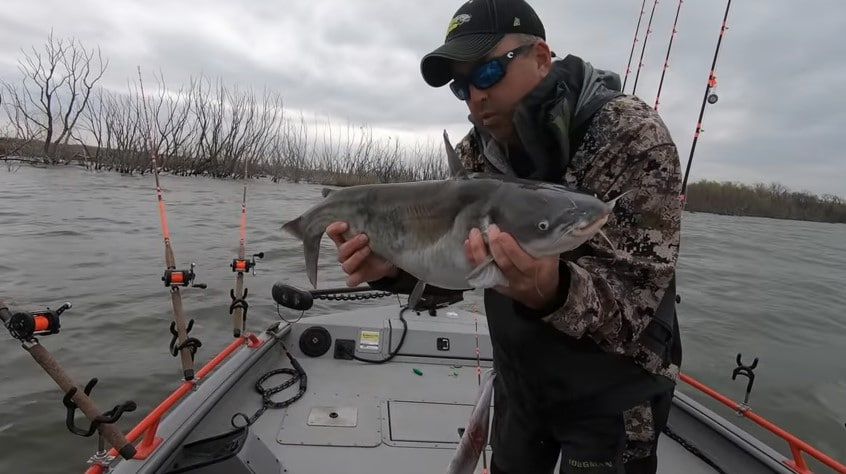 Spring catfish fishing 