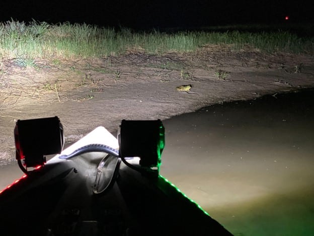 Kayak lights for night fishing