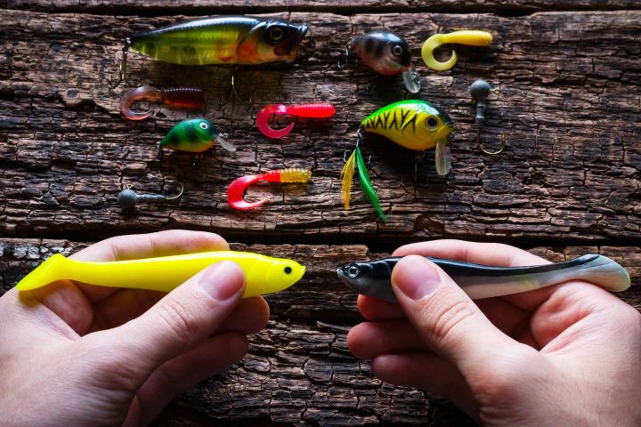 Best Winter Bass Lures