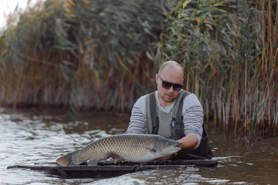 Fishing for carp in united kingdom