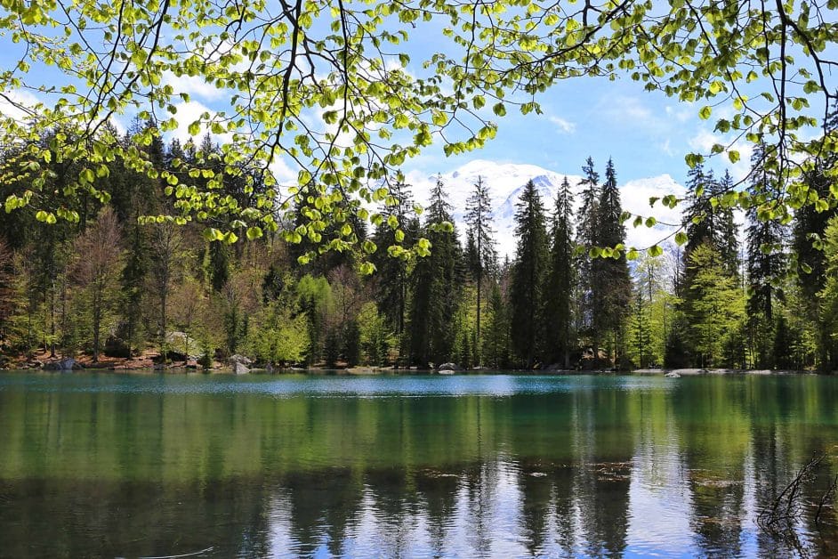 Fishing lake in france