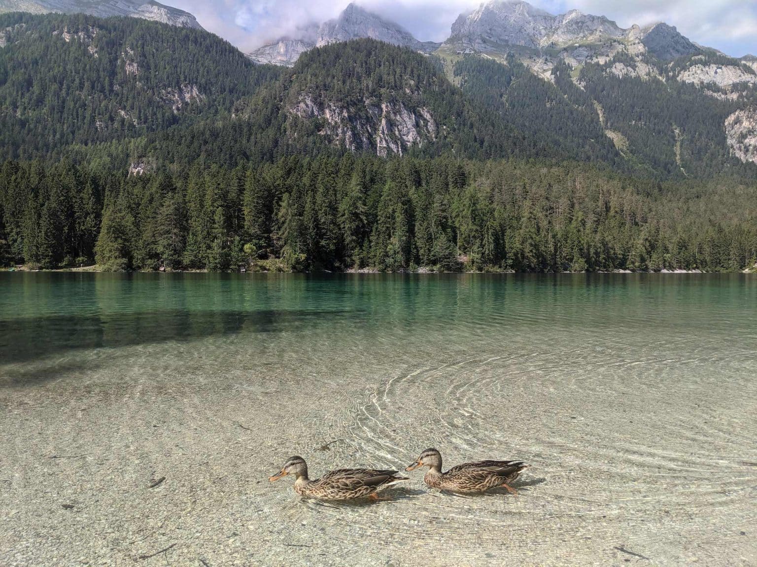 5 Best Fishing Spots in Europe - CatchMeFishing