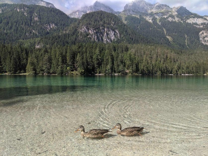 Fishing lake in italy