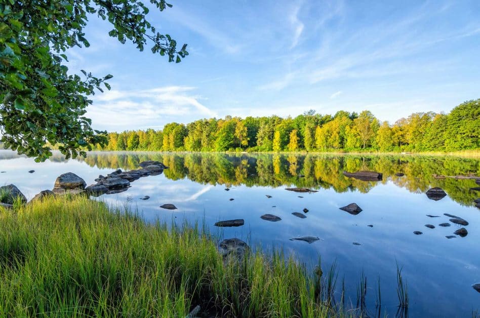 Fishing lake in sweden